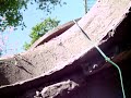 Found A tunnel Under My Yard