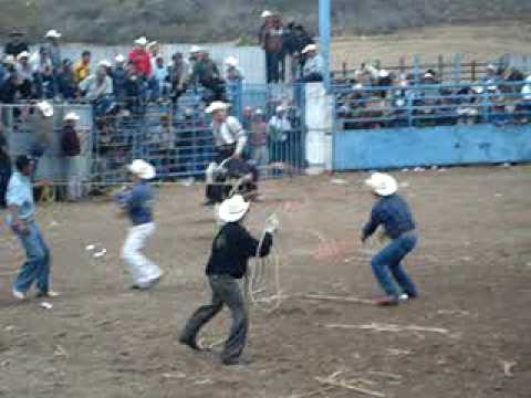 JARIPEO ZIQUITARO 2010 (VIII).MPG