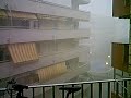 Tormenta en la pineda Tormenta en la pineda
