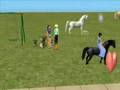 Ride able Pony for Sims 2