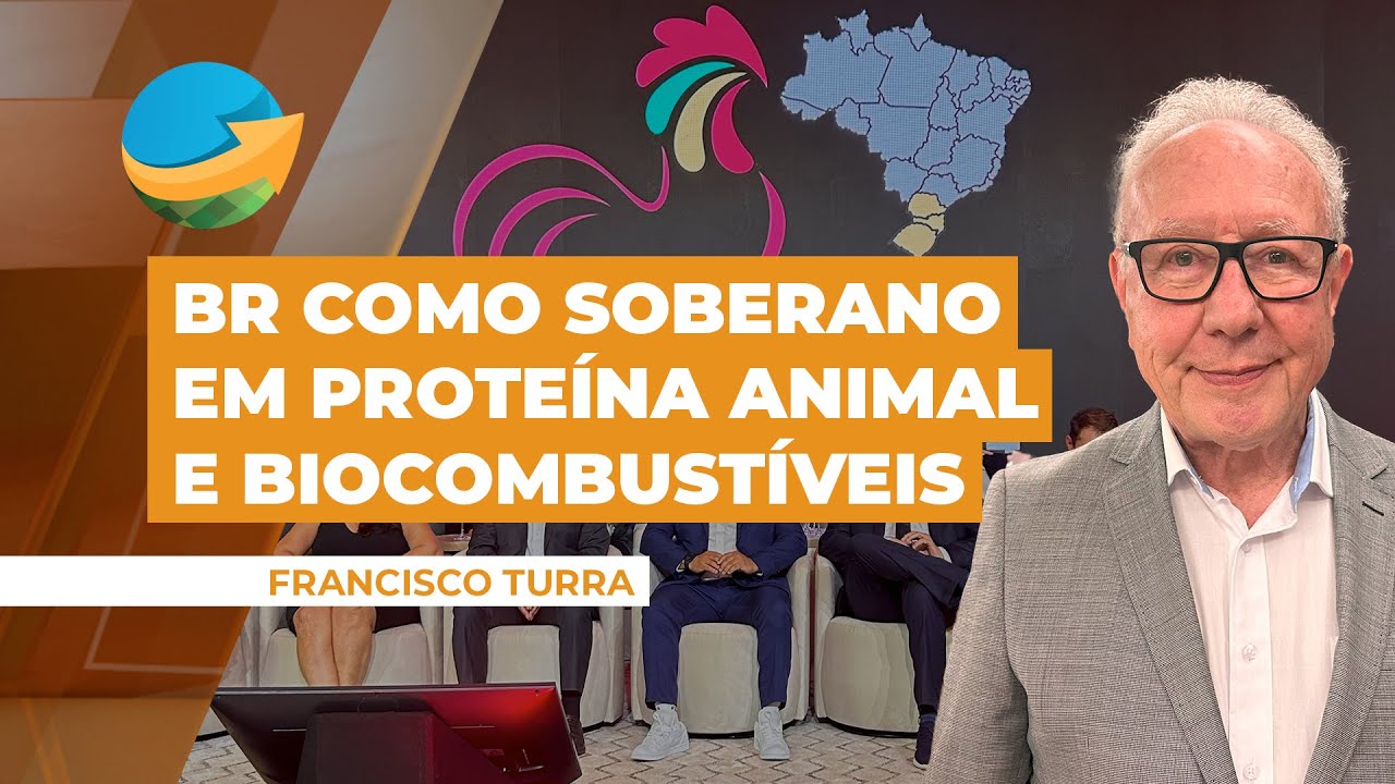 Brasil deverá ser responsável pela soberania mundial em proteína animal e biocombustíveis
