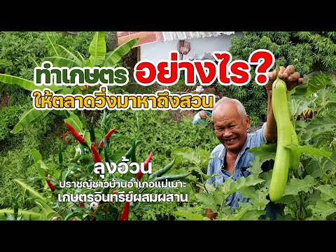 ทำเกษตรอย่างไร ให้ตลาดวิ่งมาหาถึงสวน #เกษตรอารมณ์ดี