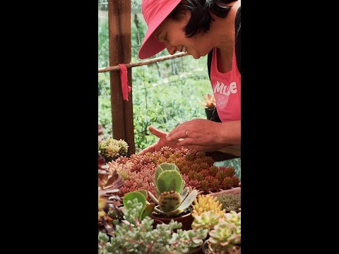 Juntas semeamos o amanhã - Marilene Secco Dalla Santa