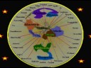ADN y Consciencia