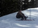 Vacance au ski FEV. 2008