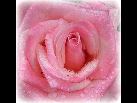 Ain't no cure for love Leonard Cohen