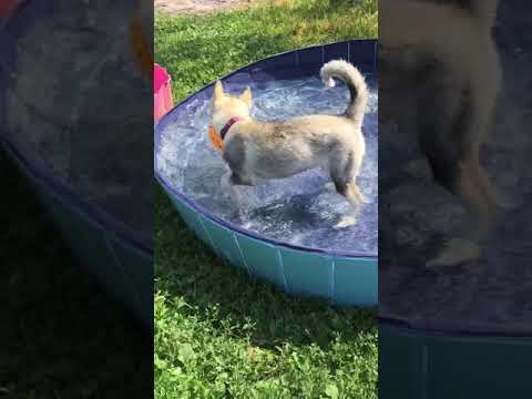 YouTube Preview Image