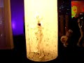 fornarina-party-01.html