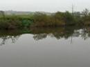 The lower Severn and a juvenile great crested grebe