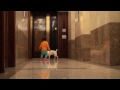 Sabrina in hall way.mpg