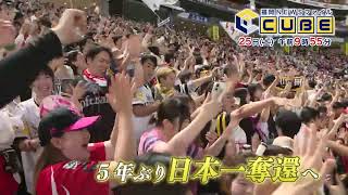 動画のサムネイル