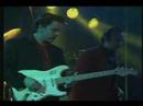 Fabulous Tbird�s / scrach me back