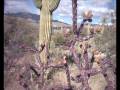 videos de Desert Sunrise...Lindsay you are my soul.