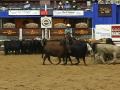 2009-NCHA-Classic-Ch