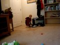 MOV05831.MPG