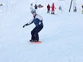 nieve