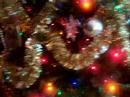 Christmas Tree 2007 Christmas Tree 2007