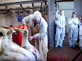 benen vast maken benen vast maken