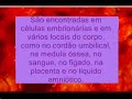 Células-tronco 1 Células-tronco 1