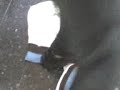 larry-numero 4 le pisan el buzo por 2� vez