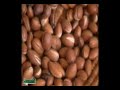 maroc business presenta en madrid el aceite de argan
