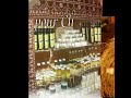 maroc business presenta en madrid el aceite de argan