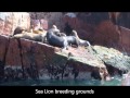 CM Tours - PERU South Coast.wmv - YouTube