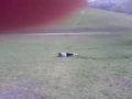 hayley rolling down hills