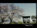 사랑아 어떻게-아이비 (도쿄여우비 ost)