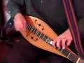 Robert Force Plays Did You?