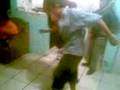 videos de el piolo y el bolos cumbeando