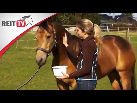 Pferdepflege: Hausmittel für Pferde