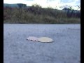 Crush platform meat can walkover by FeraCrush Crush platform meat can walkover by FeraCrush