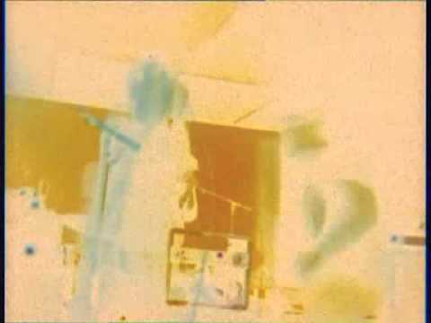 Animal Collective - Grass