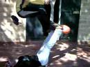 mega-skitikkio-pasquetta-2007-3-crushed-flowers.html