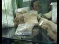 videos de The Hash Marihuana & Hemp Museum