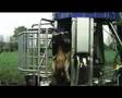 videos de Natureluur