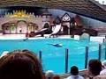 everyone loves marine land