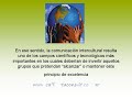 Comunicacion intercultural y digital