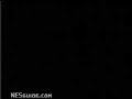 www.nesguide.com