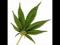 where is the bud