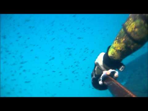 ArbaMax Pesca nei frangiflutti 2 01-11-11