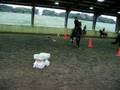 videos de journée avec vanda
