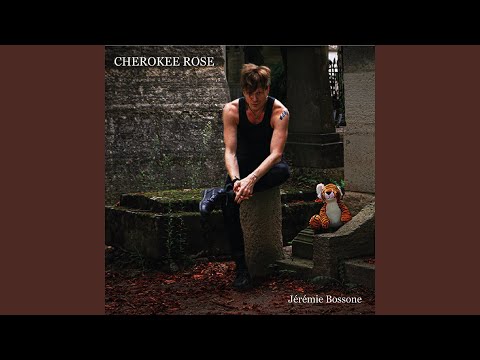 Image de prévisualisation YouTube