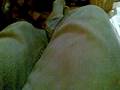still fine tuning (Sunday.mp4) - Mon Sep  1 09:56:21 2008