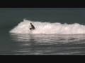 Midcoast SA: Gulls & Secrets