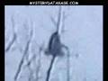 Snow walker bigfoot footage