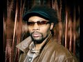 RZA feat. Black Knights & Thea van Seijen - Killer Bee Till Ya Die Digi Snacks promo CD