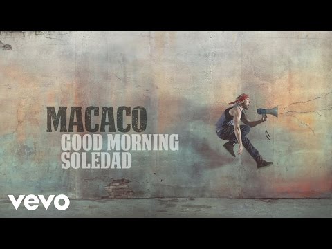 Good Morning - Macaco