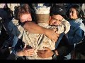 the gratitude campaign (short) the gratitude campaign (short)